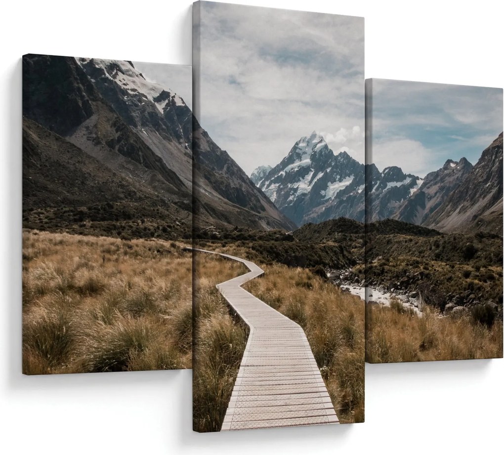 Obraz - Chodník v údolí hory Mt. Cook (90x60 cm)