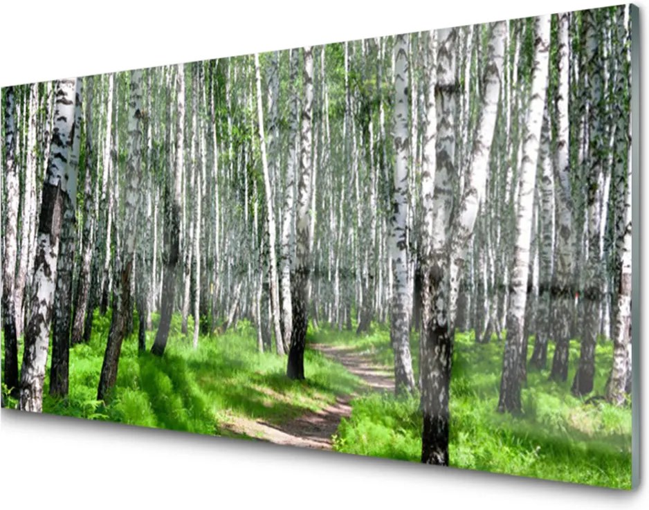 Obraz na akrylátovom skle Stromy Tráva Príroda