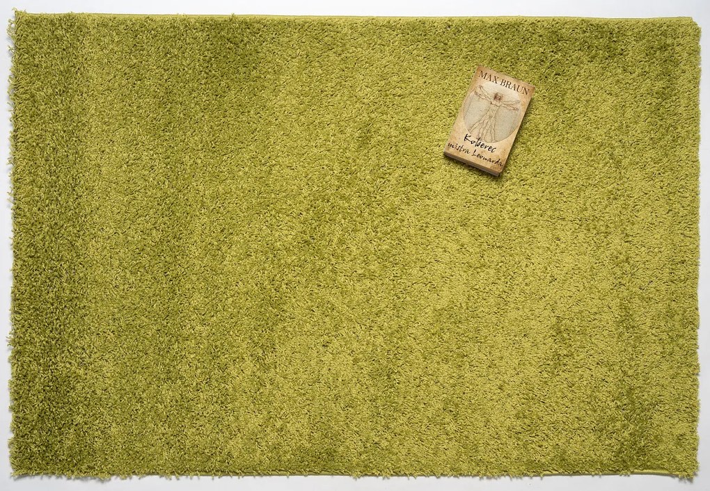 Mono Carpet, Kusový koberec Efor Shaggy 1903 Green, 120x170, zelená, obývacia izba