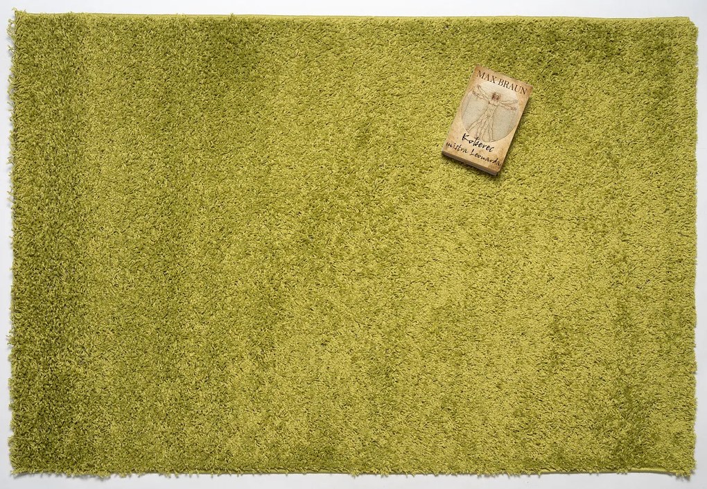 Mono Carpet Kusový koberec Efor Shaggy 1903 Green - 200x290 cm