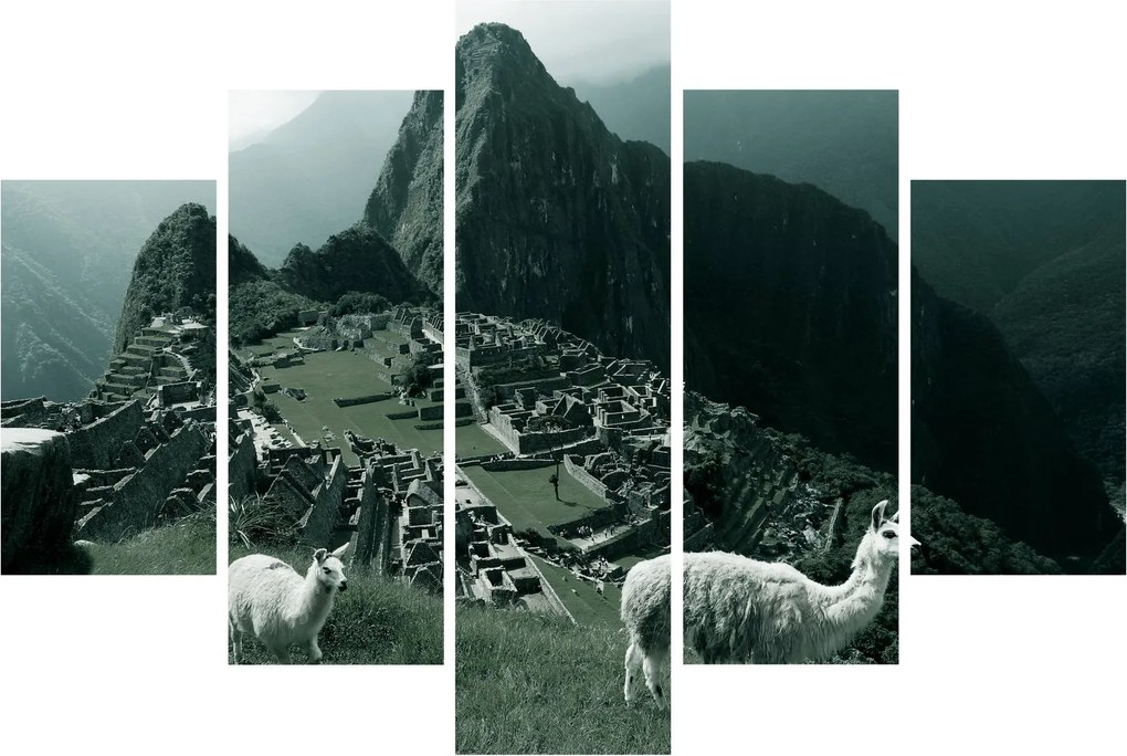 Obraz - Lamy na Machu Picchu v Peru (150x105 cm)