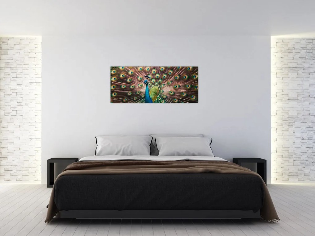 Obraz - Páv (120x50 cm)