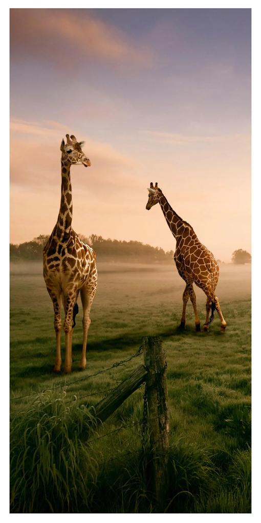 Moderný deliaci Paravan žirafy