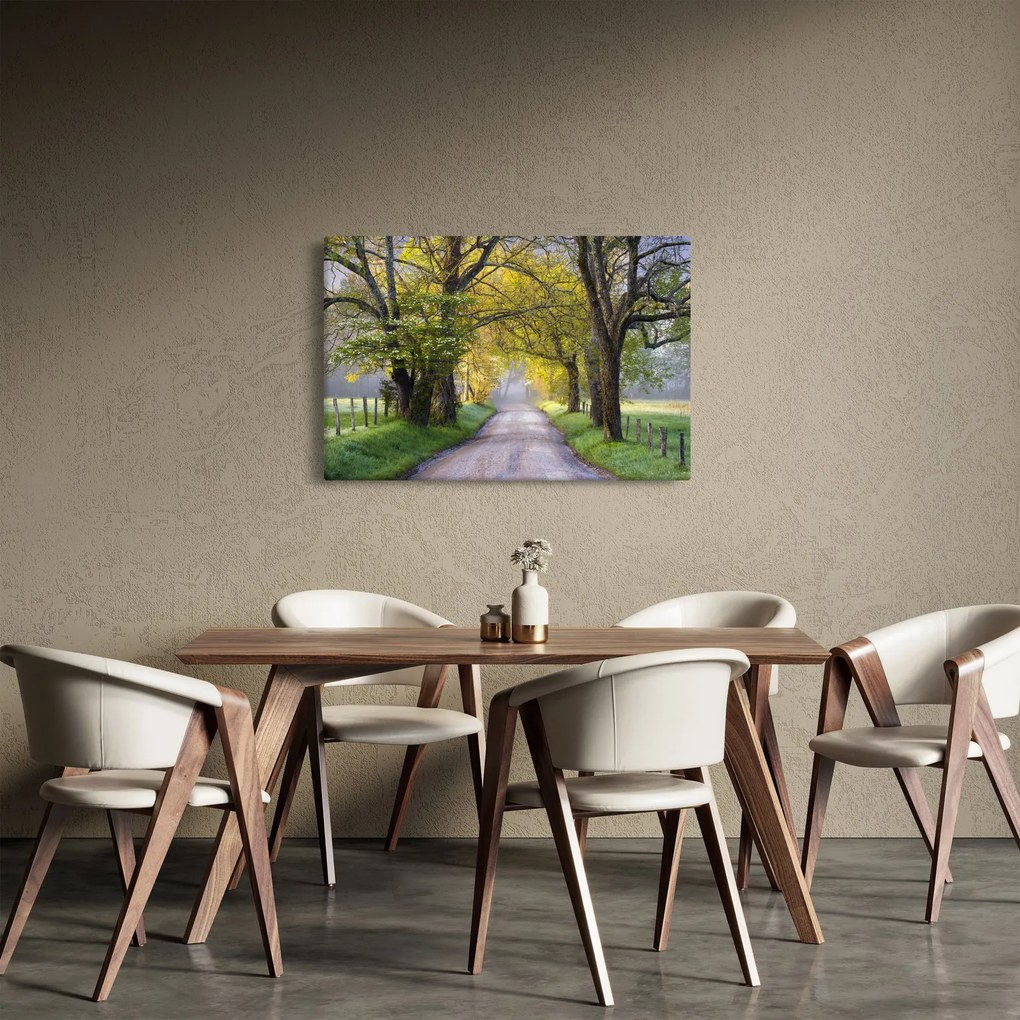 Obraz - Smoky Mountains, Gatlinburg, USA (90x60 cm)