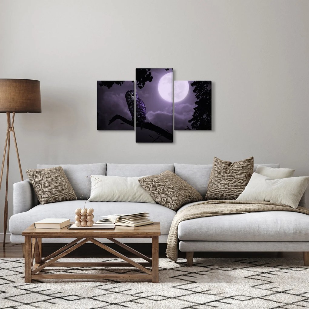 Obraz - Nočná sova, fialová (90x60 cm)