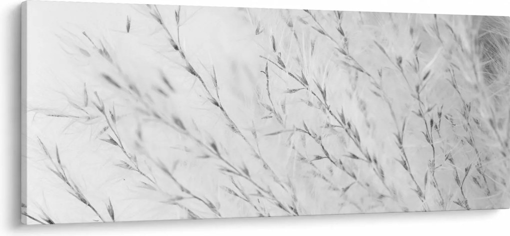 Obraz - Pampas grass N⁰2 (120x50 cm)