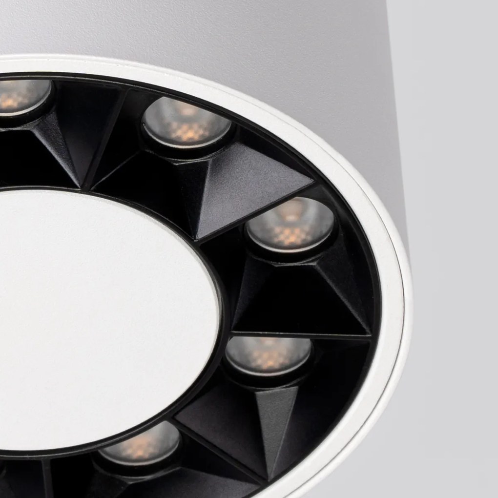 Stropné LED svietidlo Dio, 1x LED 10w, 4000k, w