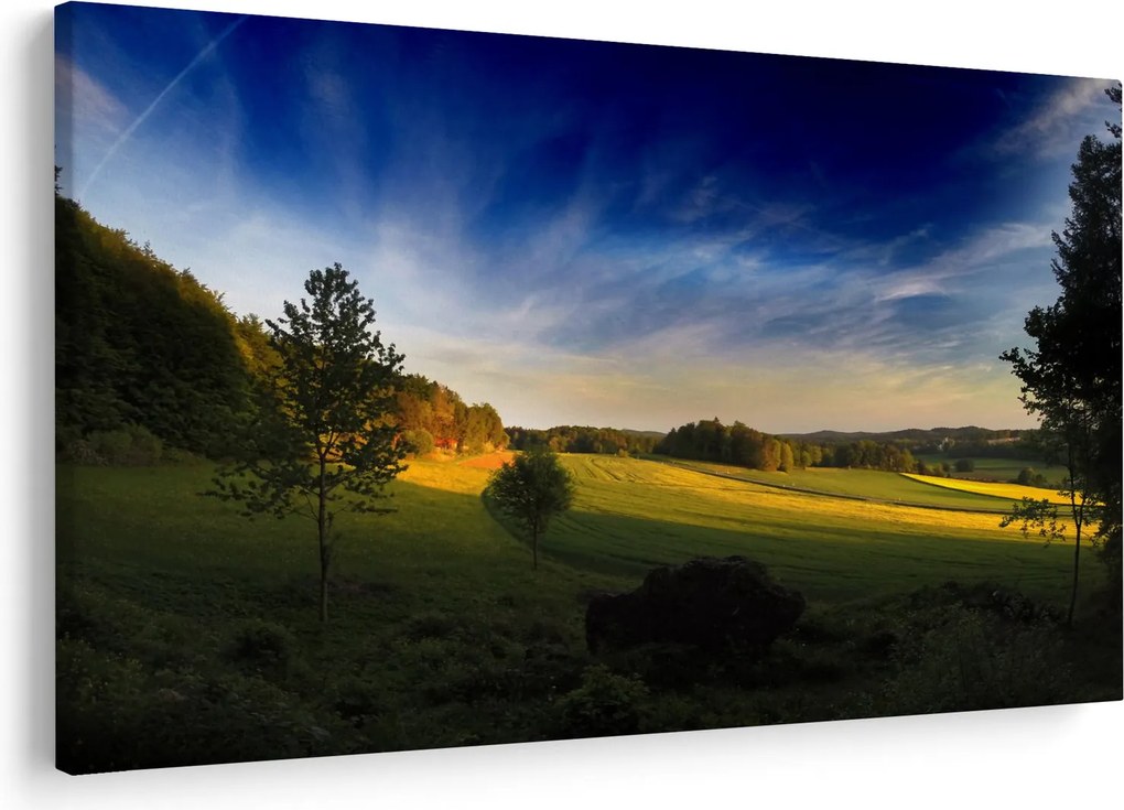 Obraz - Horská lúka (90x60 cm)