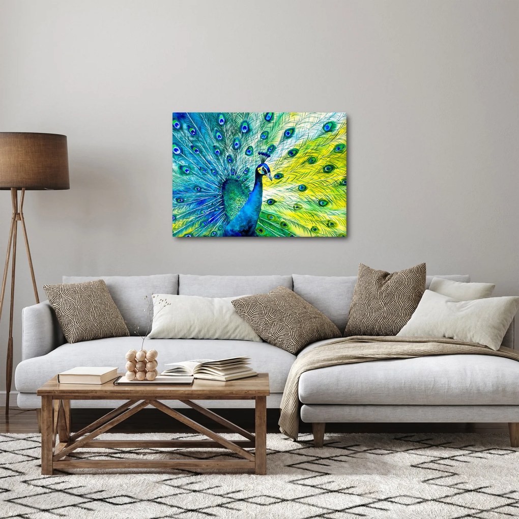 Obraz páva (70x50 cm)