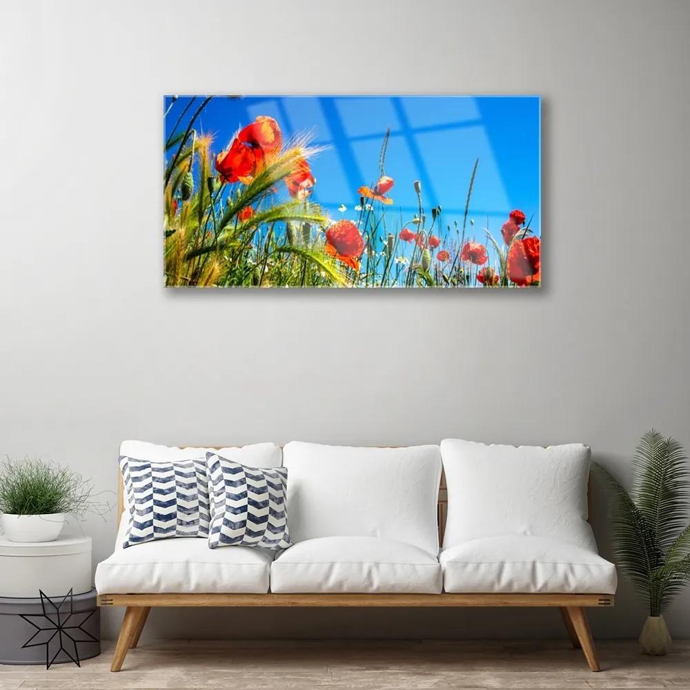 Skleneny obraz Kvety maky pole trávy 100x50 cm