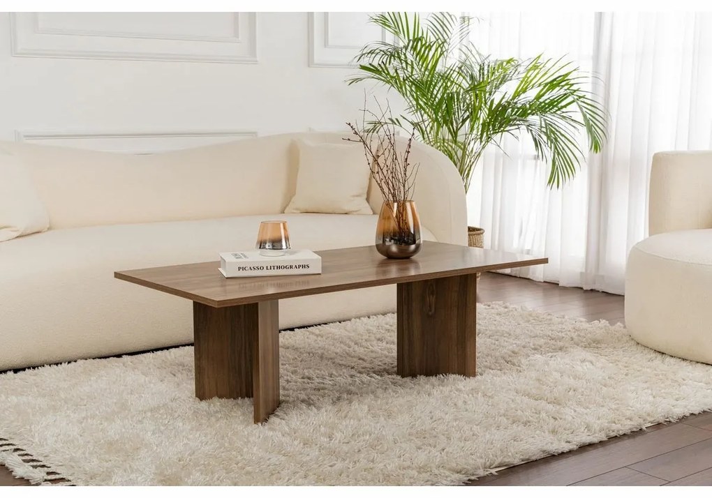 Konferenčný stolík Sabin Walnut