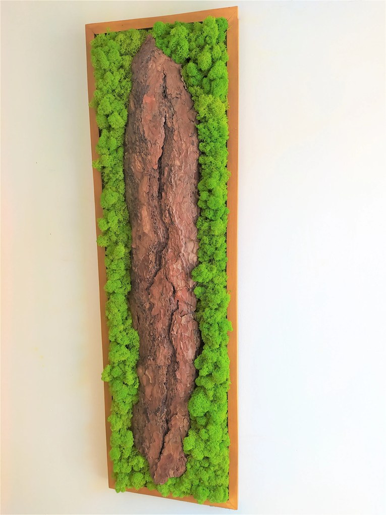 Machový obraz s kôrou 115cm x 35cm