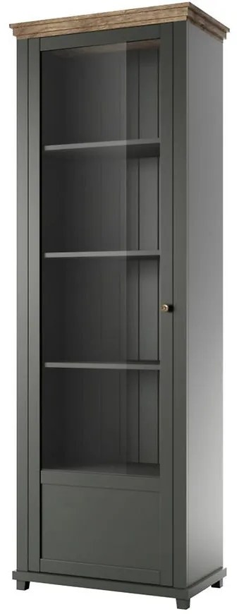 Vitrína 1D L Evora 05 Dub Lefkas/Zelená