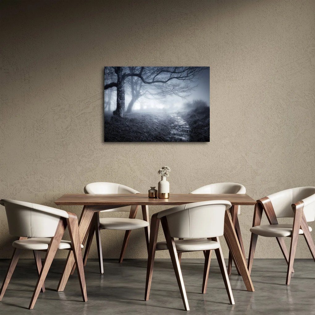 Obraz - Cesta v hmle (70x50 cm)