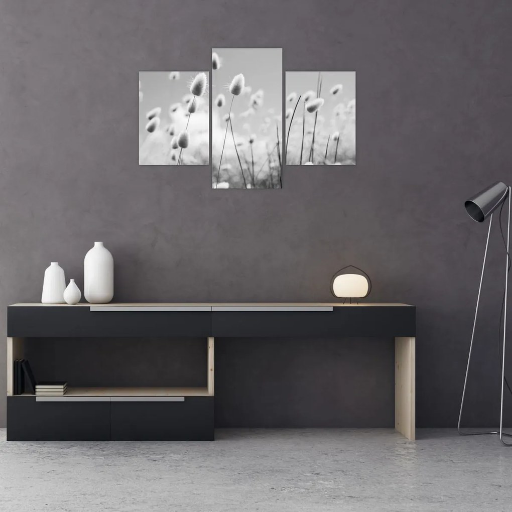 Obraz - Boho bunny tail grass (90x60 cm)
