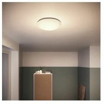 Philips 31801/31/16 SVIETIDLO STROPNÉ LED