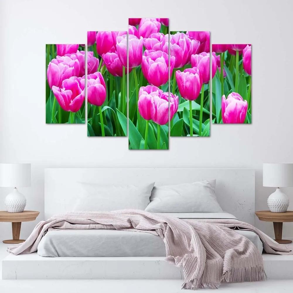 Obraz na plátně pětidílný Růžové tulipány - 100x70 cm