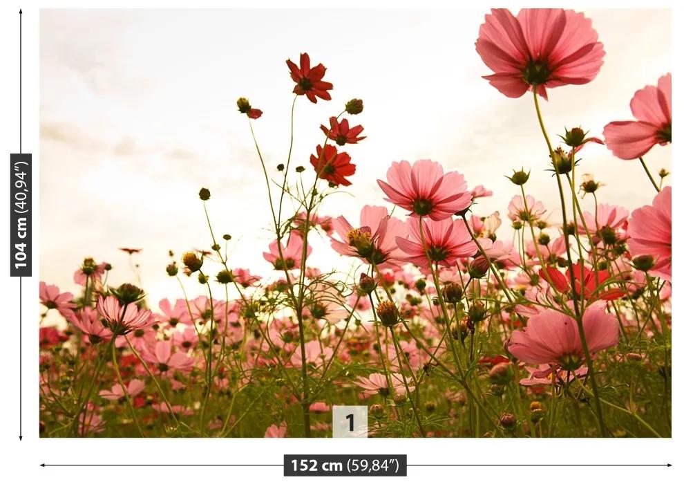 Fototapeta Vliesová Vesmír kvety 416x254 cm