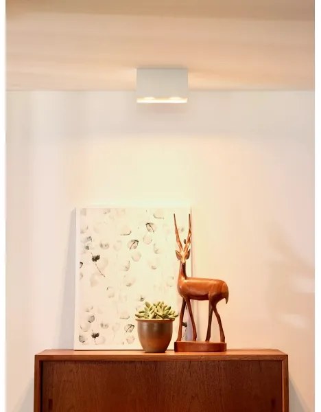 Lucide 09101/02/31 - Bodové svietidlo BODI 2xGU10/50W/230V