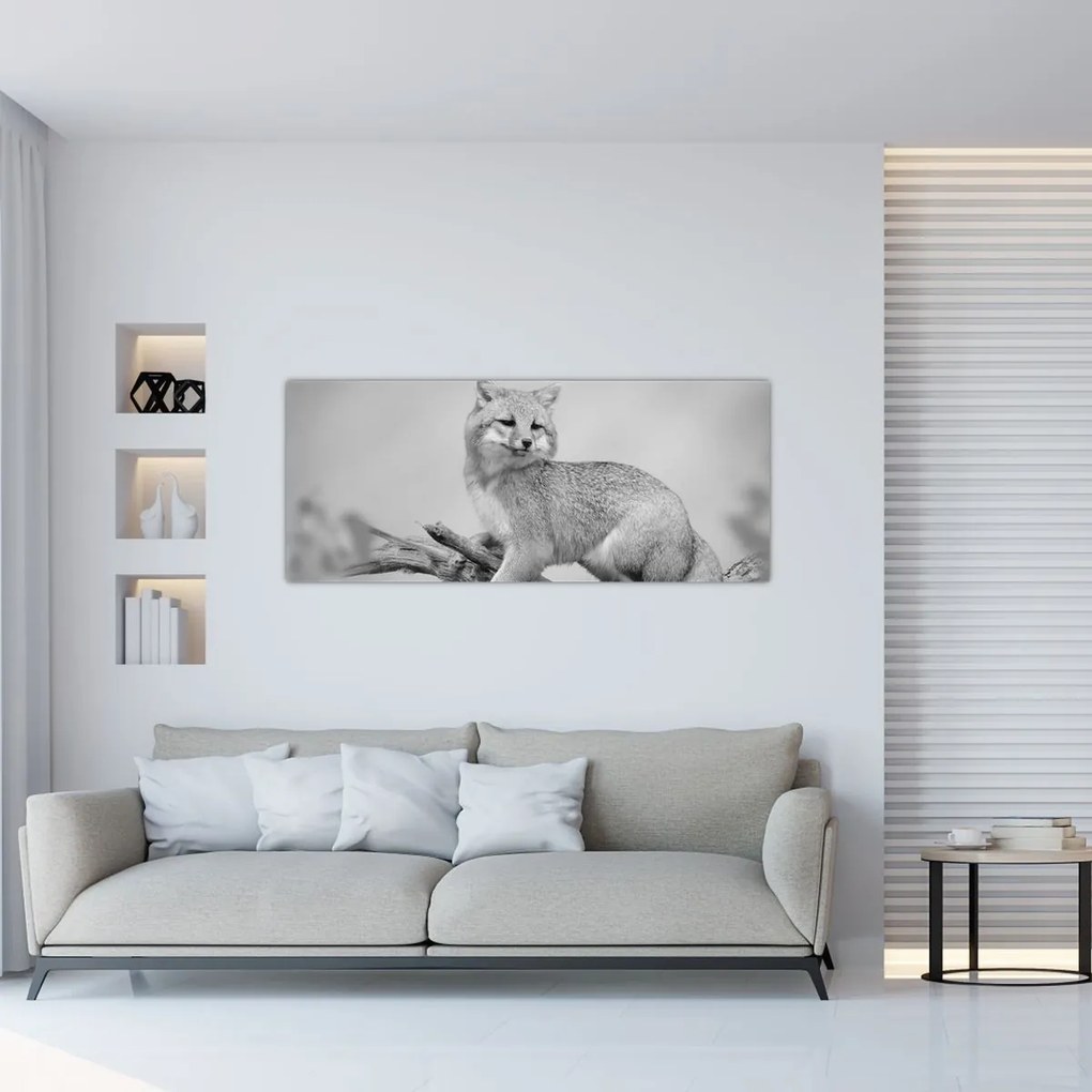 Obraz - Líška šedá (120x50 cm)