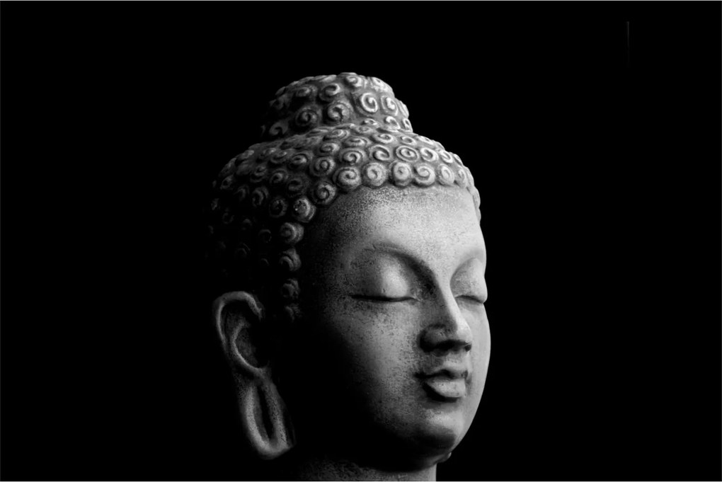 Obraz - Budha, portrét (90x60 cm)