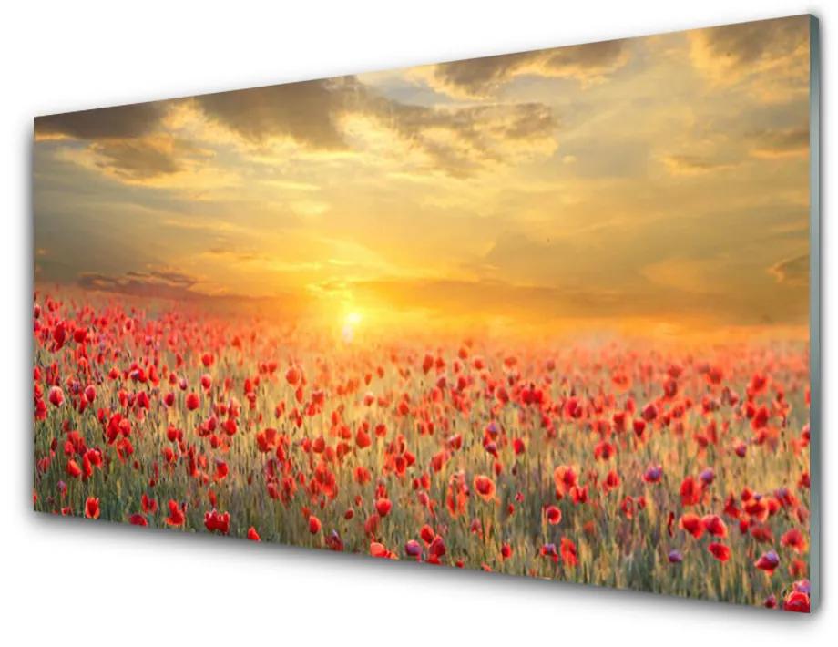 Skleneny obraz Slnko lúka mak kvety 100x50cm