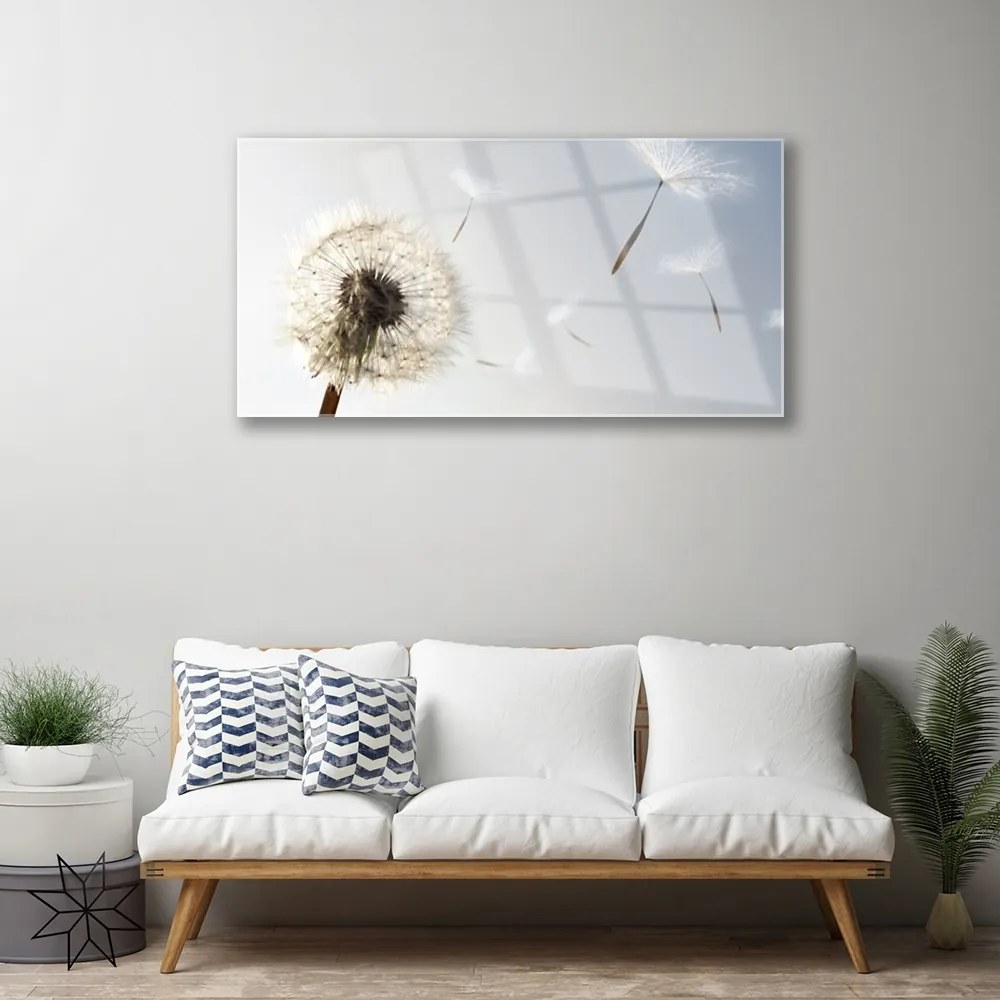 Obraz plexi Púpava kvety príroda 100x50 cm
