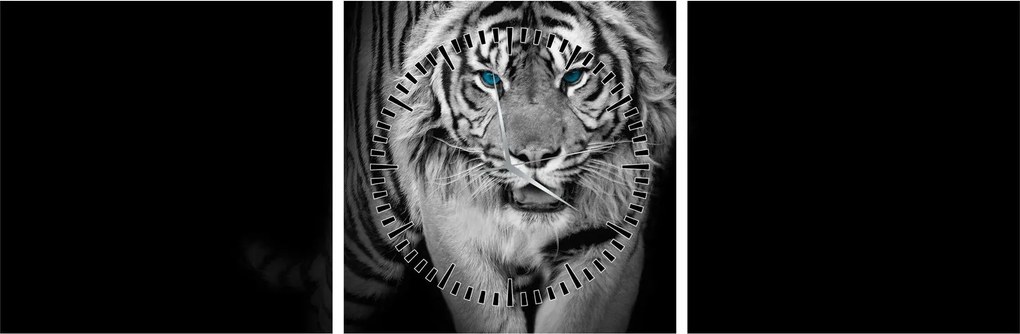 Obraz - Tiger s modrými očami (s hodinami) (90x30 cm)