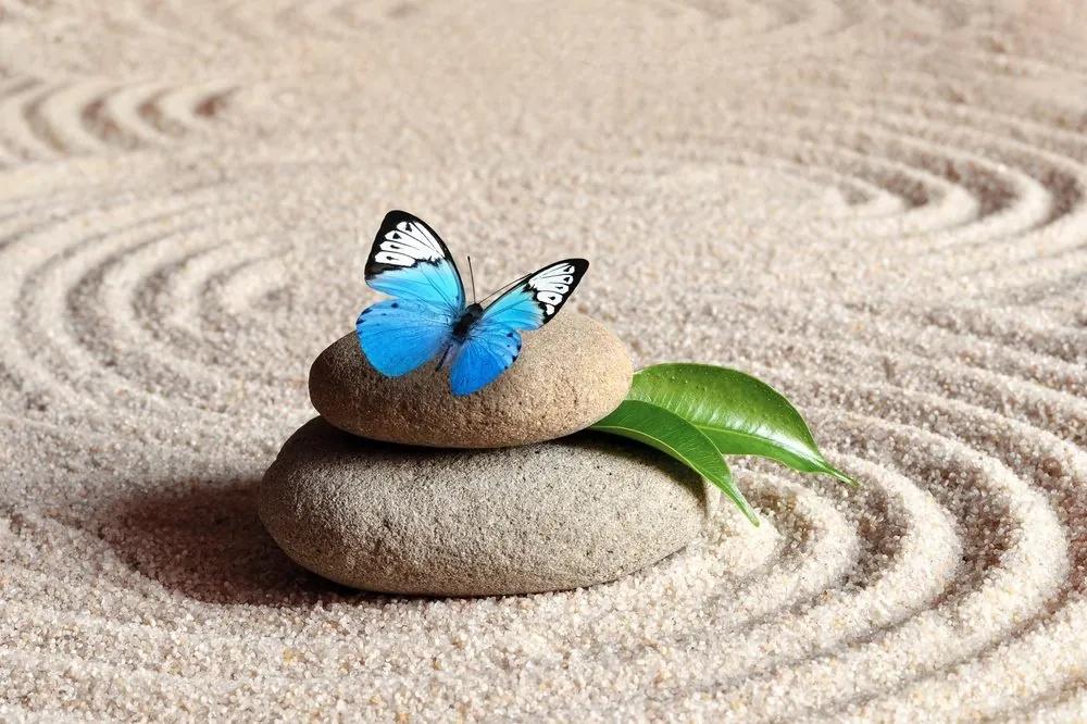 Fototapeta modrý motýľ na Zen kameni - 225x150