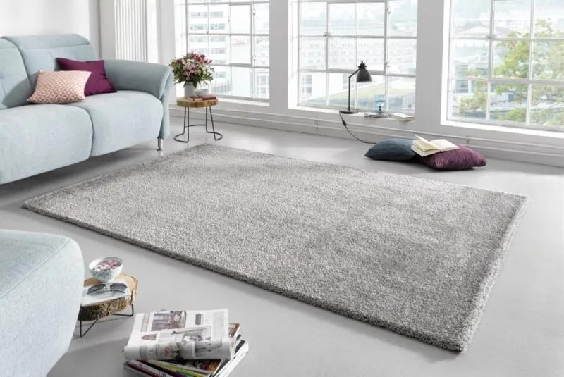 Mint Rugs - Hanse Home koberce Kusový koberec Glam 103014 Silver - 160x230 cm