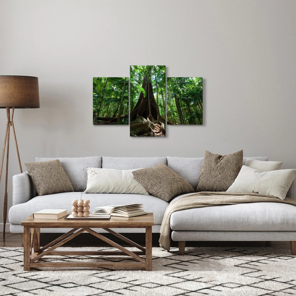 Obraz - Korene stromu (90x60 cm)