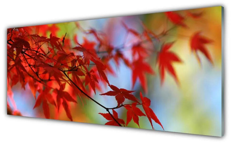 Obraz na akrylátovom skle Listy príroda 125x50 cm