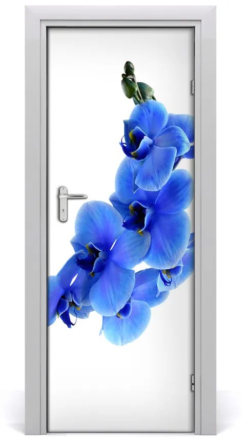 Fototapeta samolepiace modrá orchideami 95x205 cm