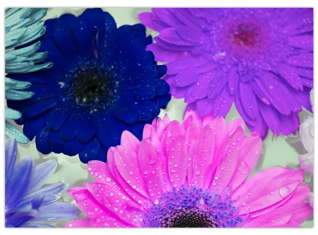 Sklenený obraz farebných kvetín (70x50 cm)
