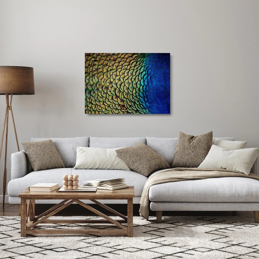 Sklenený obraz - Pávie perie (70x50 cm)