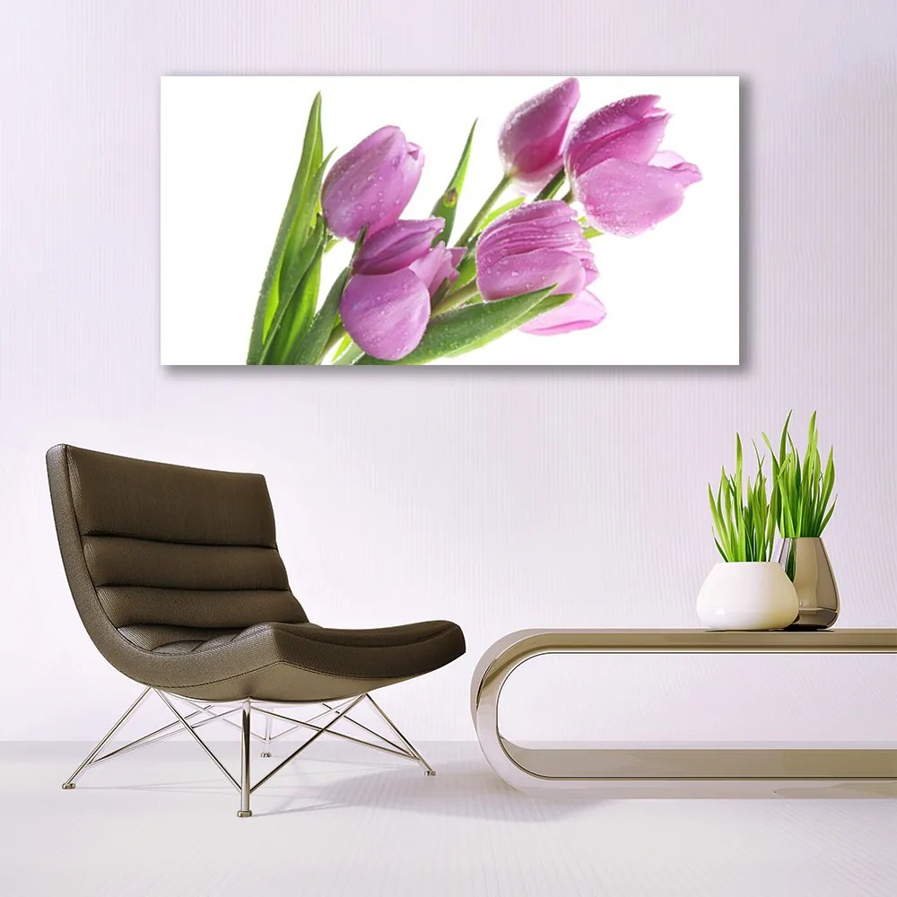 Obraz plexi Tulipány kvety rastlina 120x60 cm