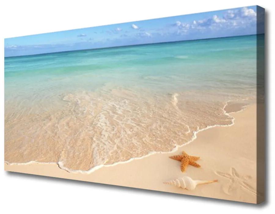 Obraz na plátne Pláž hviezdice príroda 120x60 cm