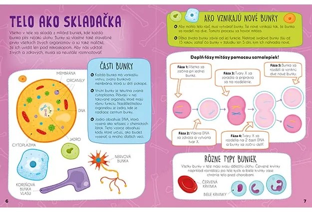 Samolepková knižka-svieti v tme Ľudské telo