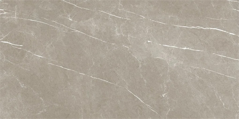 Dlažba Eternal Taupe Natural 60x120 R