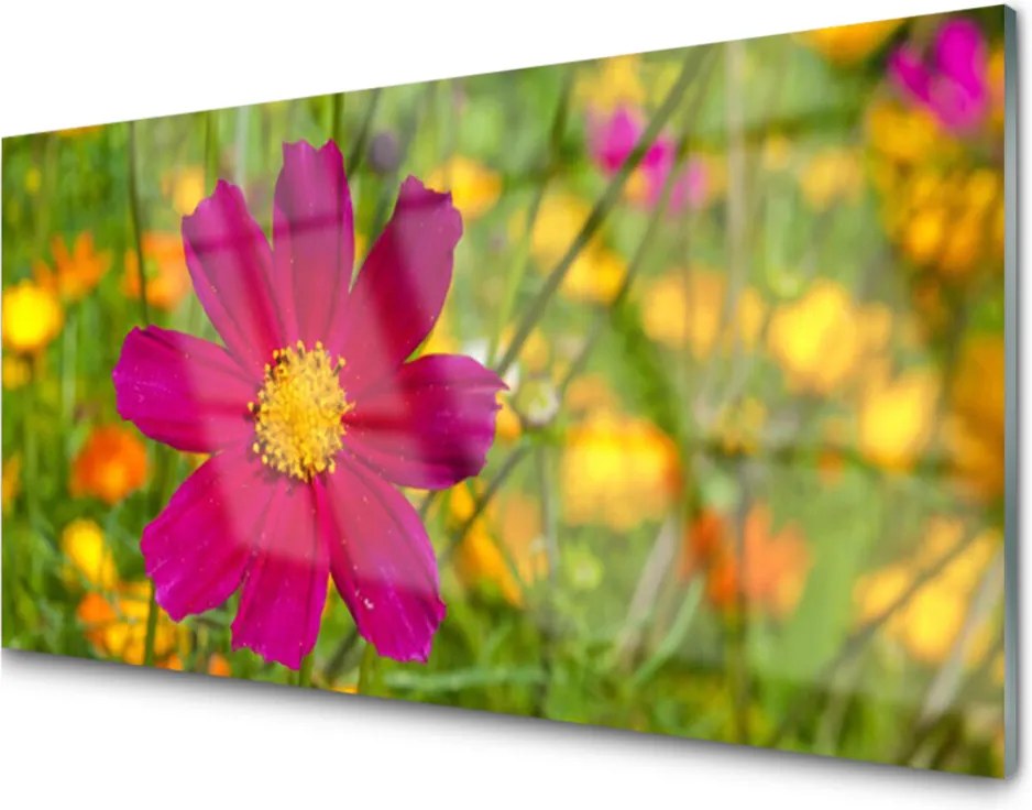 Obraz plexi Kvet rastlina príroda