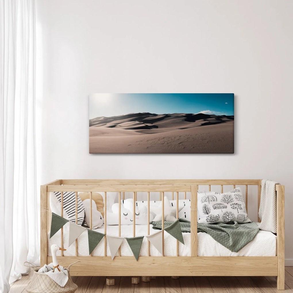 Obraz - Z púšte (120x50 cm)