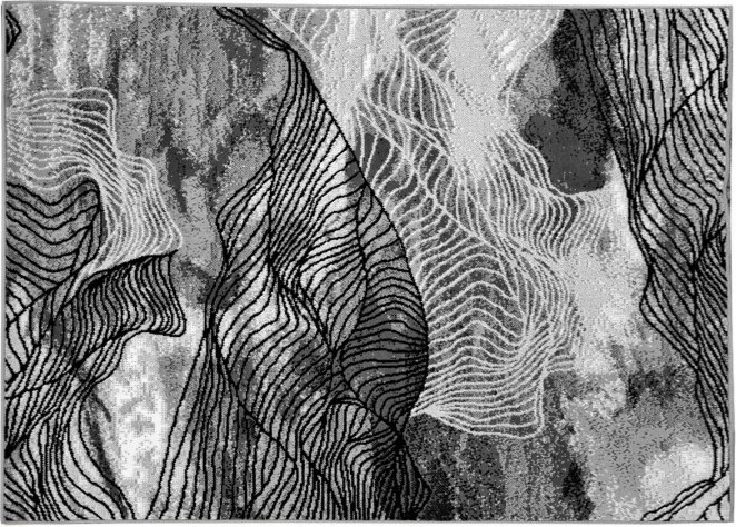 DC Koberec PP 010 sivá Rozmer: 180×250 cm