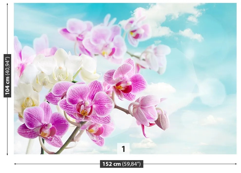 Fototapeta Vliesová Orchidey modrá 208x146 cm