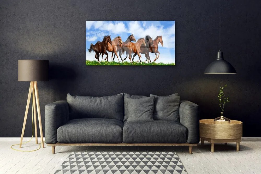 Skleneny obraz Cválajúci kone na pastvine 100x50 cm