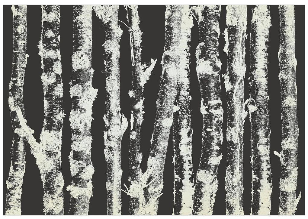 Artgeist Fototapeta - Stately Birches - Second Variant Veľkosť: 147x105, Verzia: Samolepiaca