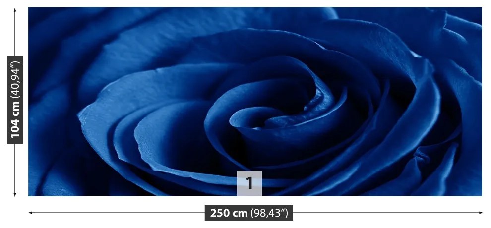 Fototapeta Vliesová Modrá ruža 152x104 cm