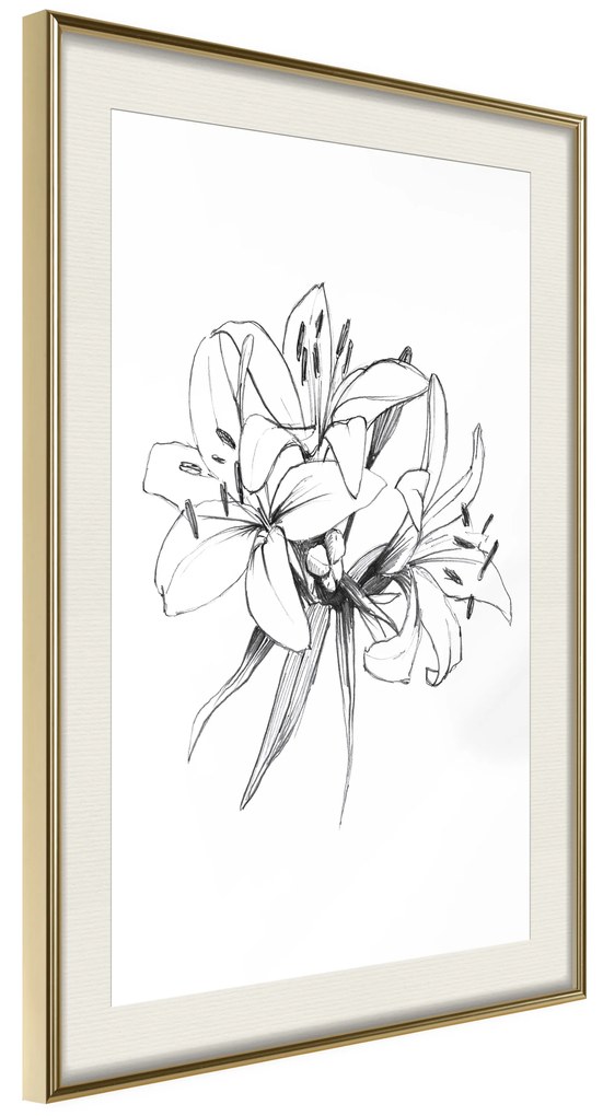 Artgeist Plagát - Drawn Flowers [Poster] Veľkosť: 20x30, Verzia: Zlatý rám s passe-partout