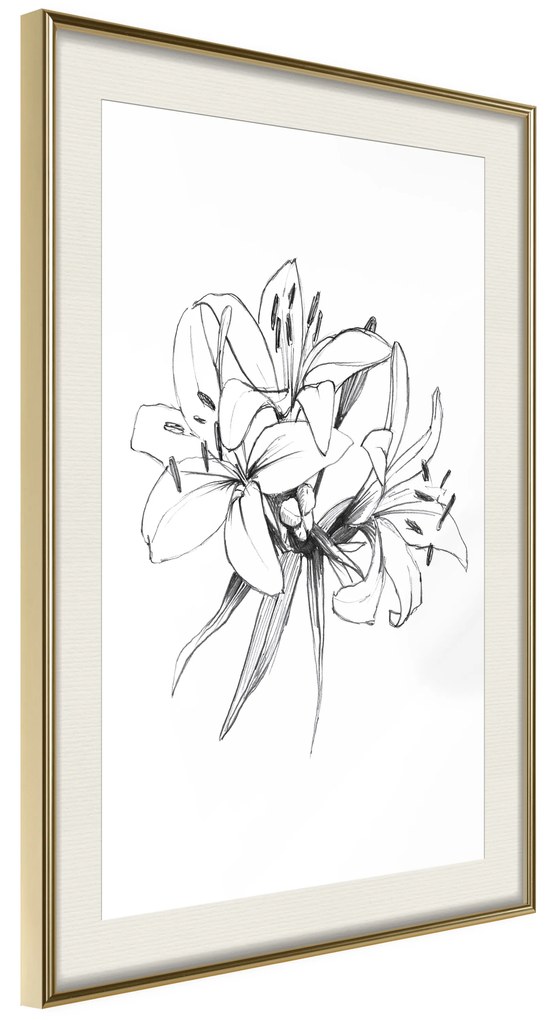 Artgeist Plagát - Drawn Flowers [Poster] Veľkosť: 30x45, Verzia: Čierny rám s passe-partout