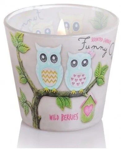 Sviečka Funny Owls – Wild Berries 115 g