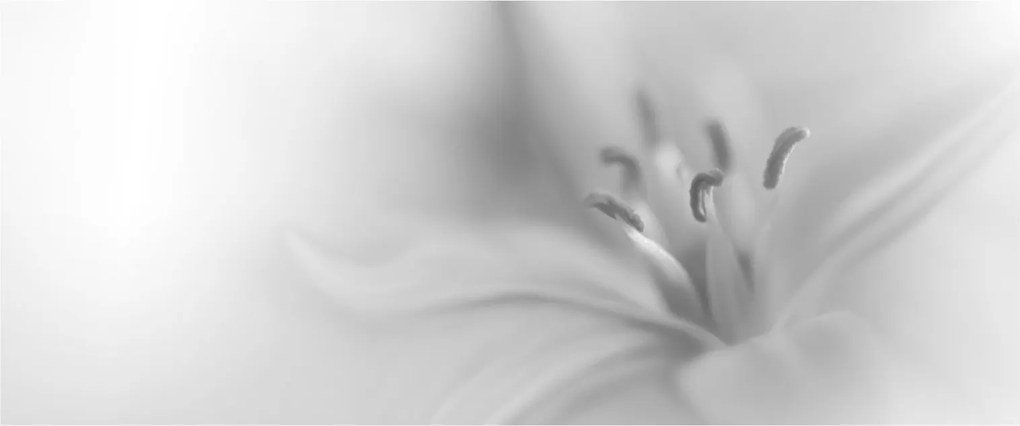 Obraz - Jemná ľalia (120x50 cm)